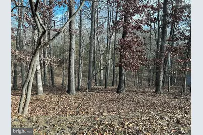 407 Northwood Circle, Cross Junction, VA 22625 - Photo 2