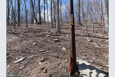 0 Hawk Trail Lot 155, Winchester, VA 22602 - Photo 10