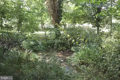 2431 Cedar Creek Grade, Winchester, VA 22602 - Photo 68