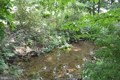 2431 Cedar Creek Grade, Winchester, VA 22602 - Photo 64