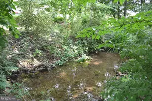 2431 Cedar Creek Grade, Winchester, VA 22602 - Photo 64