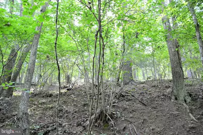 Lot 11-Hoover Mtn Pack Horse Road, Winchester, VA 22603 - Photo 20