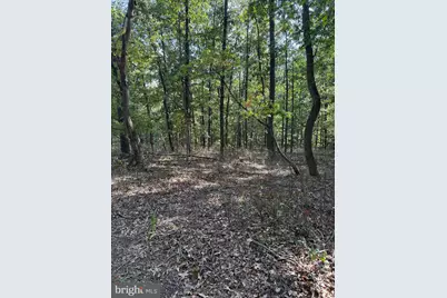 Light Road, Winchester, VA 22603 - Photo 1