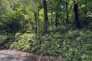 Lot 147 Tomahawk Trail, Winchester, VA 22602 - Photo 1