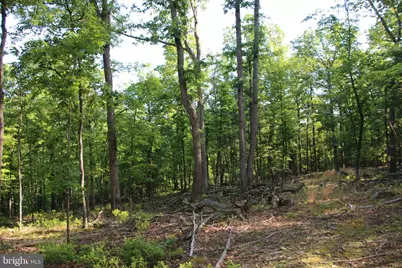 Easter Ridge Lot 7A Lane, Winchester, VA 22603 - Photo 36