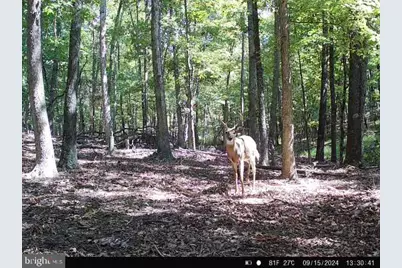 Easter Ridge Lot 7A Lane, Winchester, VA 22603 - Photo 54