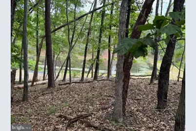 0 Off Red Oak Road, Cross Junction, VA 22625 - Photo 12