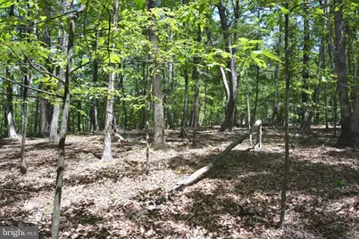 Files Chapel Drive, Winchester, VA 22603 - Photo 46