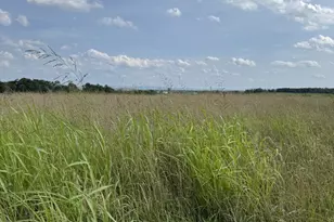 Lot 2 Glebe Dr, Clear Brook, VA 22624 - Photo 1