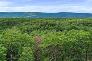 3782 Wardensville Grade, Winchester, VA 22602 - Photo 80