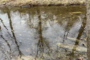 Lot 1B Double Church Rd, Stephens City, VA 22655 - Photo 28