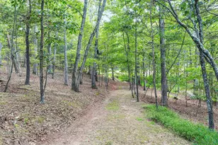 2411 Hunting Ridge Rd, Winchester, VA 22603 - Photo 46