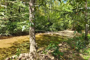 2138 Back Creek Rd, Gore, VA 22637 - Photo 6