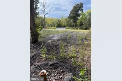 222 Siler Lane, Winchester, VA 22603 - Photo 4