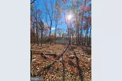 511 Grouse Drive, Winchester, VA 22602 - Photo 4