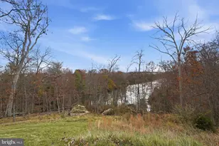 103 Planetree Ct, Lake Frederick, VA 22630 - Photo 8