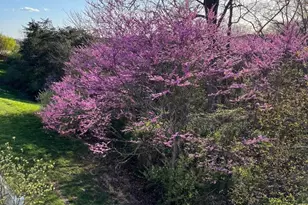 117 Harvester Dr, Lake Frederick, VA 22630 - Photo 42