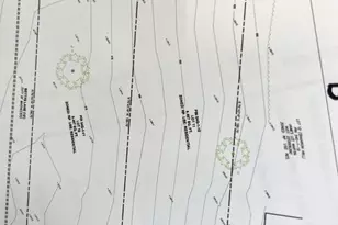 713 Ross St, Winchester, VA 22601 - Photo 6