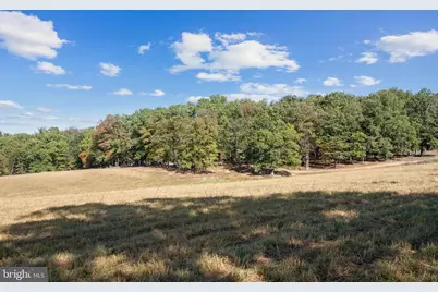 Lot 5 Gun Club Road, Stephenson, VA 22656 - Photo 4