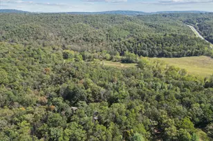 220 Chestnut Grove Rd, Winchester, VA 22603 - Photo 44