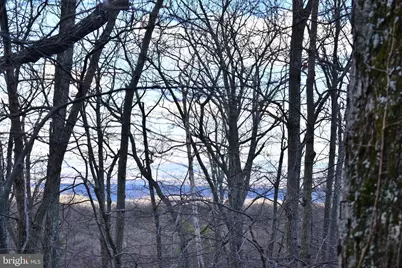 Fox Trail, Winchester, VA 22602 - Photo 14