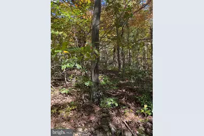 Fox Trail, Winchester, VA 22602 - Photo 1