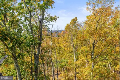 1631 Back Mountain Road, Winchester, VA 22603 - Photo 76