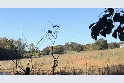 N Frederick Pike, Winchester, VA 22603 - Photo 10