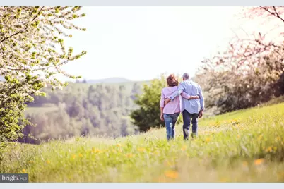 108 Webster Court, Winchester, VA 22603 - Photo 44