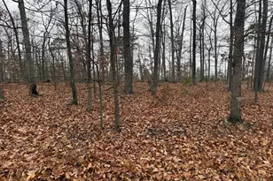 0 White Pine Ln, Winchester, VA 22602 - Photo 1