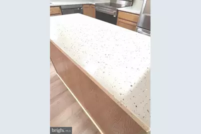 305 Sutton Court, Winchester, VA 22601 - Photo 10