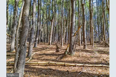 Lot 2D Woods Mill, Stephenson, VA 22656 - Photo 18