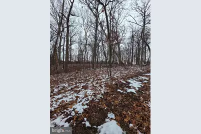 Huttle, Middletown, VA 22645 - Photo 4