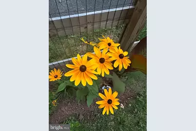 3466 Middle Road, Winchester, VA 22602 - Photo 40