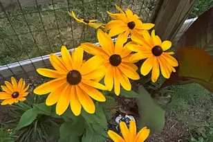 3466 Middle Rd, Winchester, VA 22602 - Photo 40