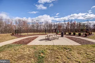 129 Leather Flower, Lake Frederick, VA 22630 - Photo 82