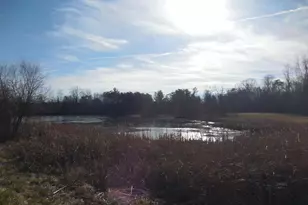 313 Beaver Trail, Winchester, VA 22602 - Photo 70