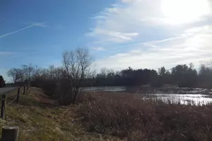 313 Beaver Trail, Winchester, VA 22602 - Photo 68