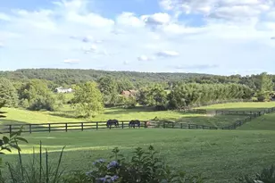 521 Hidden Valley Ln, Winchester, VA 22603 - Photo 8