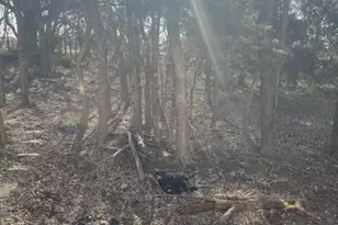 5252 Mulberry Run Ct, Stephens City, VA 22655 - Photo 6