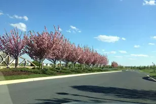 122 Buccaneer Ct, Stephenson, VA 22656 - Photo 46