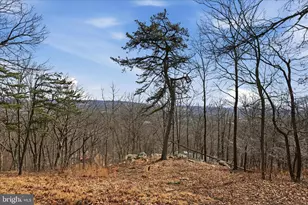 129 Jalapa Trail, Winchester, VA 22602 - Photo 70