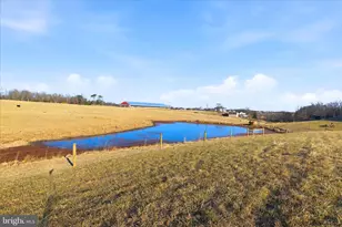 Lot 8 Grim Rd, Stephens City, VA 22655 - Photo 32