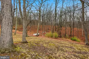 236 Kump Dr, Gore, VA 22637 - Photo 60