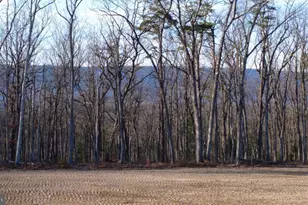 152 44 Acres Lot 2 Laurel Grove Rd, Winchester, VA 22602 - Photo 8