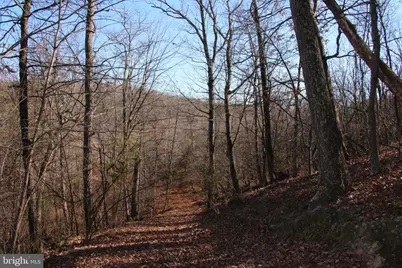 Siler Road, Winchester, VA 22603 - Photo 26