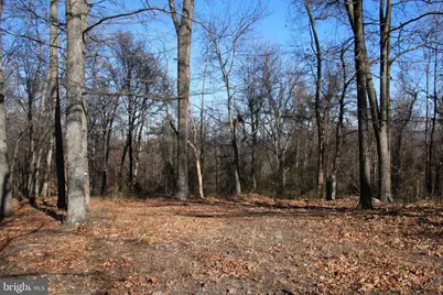 Siler Road, Winchester, VA 22603 - Photo 16
