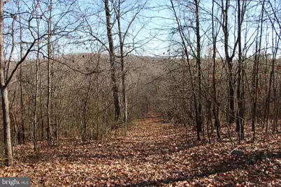 Siler Road, Winchester, VA 22603 - Photo 24