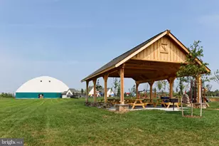 141 Bamboo Shoot Ln, Stephenson, VA 22656 - Photo 36