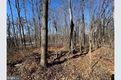 105 Quail Court, Cross Junction, VA 22625 - Photo 2